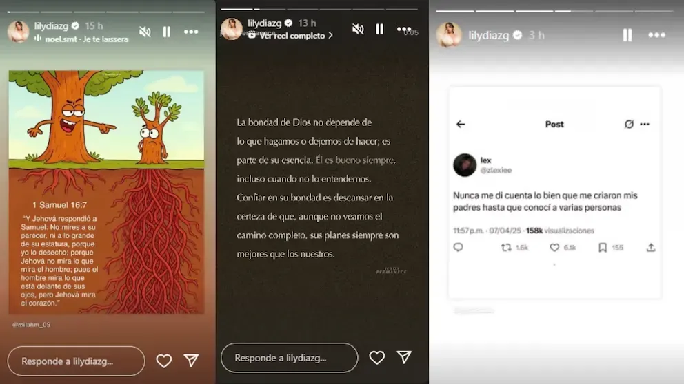 respuesta de lily_11zon.webp